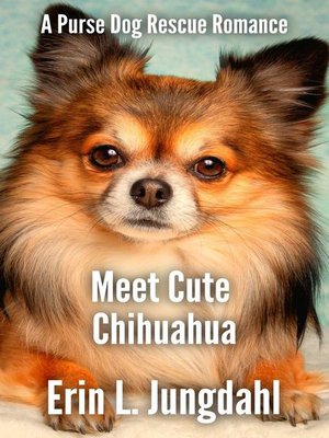 cover image of Meet Cute Chihuahua